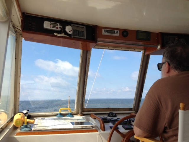 1-Panda Bear Jun 2013 (112)